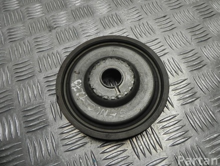 RENAULT E111126A SCÉNIC III (JZ0/1_) 2015 Guide Pulley