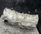 Volkswagen SZG AMAROK Platform/Chassis (S1B) 2017 Automatic Transmission 8 Speed - Image 3