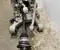BMW 7566086, 6796146, C528570 6 coupe (F13) 2012 Zestaw zawieszenia tylnego prawa strona - Obraz 2