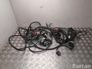 Ligier 1411188, 1421223 JS 50 2022 Fils du compartiment moteur