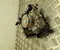 Mercedes-Benz A2973209101 EQE V295 2023 Valdymo blokas ABS hidraulika - Paveiksliukas 1