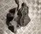 Gebrauchtes Original Volvo P8891876743 EX30 (416) 2024 Bremssattel hinten links - Bild 2