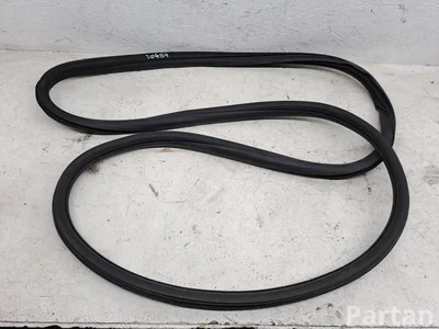 Citroën C4 CACTUS 2019 Türdichtung vorne rechts - Bild 1