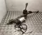 Gebrauchtes Original Ford 1EE423052E, 1EB423105, 1EB423105F, 1EE907144K CAPRI (CX740L) 2024 Lenkgetriebe - Bild 1
