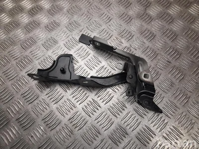 Citroën 9829653680 DS7 CROSSBACK 2021 Шарнир, капот - Изображение 1