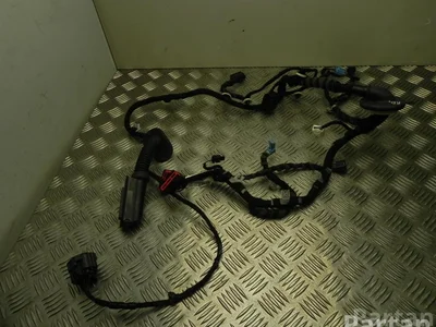 Jaguar J9D3-14630-ME / J9D314630ME I-PACE 2019 Harnais pour intérieur - Image 1