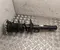 Ford 11N 413 023 P / 11N413023P CAPRI (CX740L) 2024 suspension strut, complete Right Front - Image 2