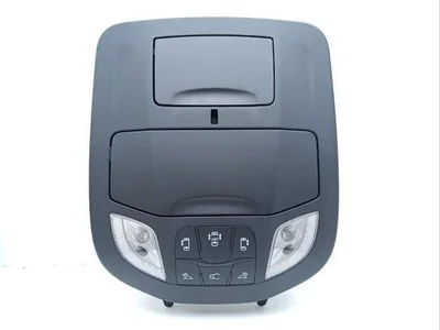 Chrysler 7EB12DX9AA, P7EB12DX9AA, 2468210960053, S2468210960053, 4947890, C4947890 Pacifica 2021 Iluminación interior - Imagen 1