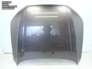 Audi A8 (4H_) 2015 Capó del motor