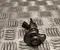 Volkswagen 05L131113AD PASSAT B9 Variant (CJ5) 2024 Wtrysk - Obraz 1