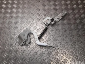 Renault 654018609R, 654833942R ZOE (BFM_) 2020 Charnière