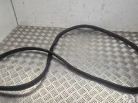 Nissan Ariya 2024 Door Seal Left Rear