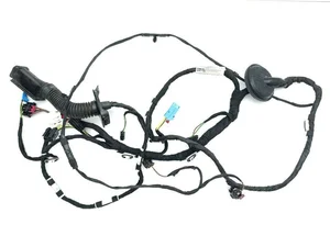 Audi 4KE971687E, 4KE971687, 4L0.971.841Q, 4H0973702A, 5G0937702 / 4KE971687E, 4KE971687, 4L0971841Q, 4H0973702A, 5G0937702 E-Tron 2019 Harnais pour intérieur Porte