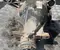BMW 9425845, 2.93 / 9425845, 293 X5 (G05) 2018 Hinterachsgetriebe - Bild 2