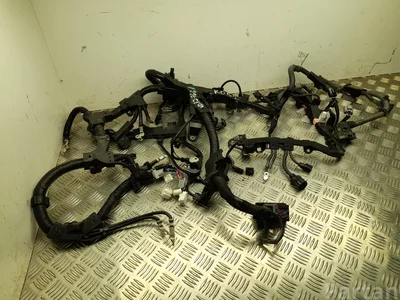 Lexus 82121-33N20 / 8212133N20 ES VII XZ10 2024 Fils du compartiment moteur - Image 1