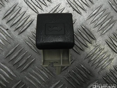 Toyota 53631-12040 / 5363112040 RAV 4 V 2020 Poignée - Image 1