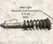 Original (gebraucht) Maserati 254814, 462400005497, 263104, 231388 GRAN TURISMO 2012 Stoßdämpfer hinten rechts - Bild 1