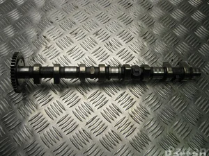 Mercedes-Benz R6110510001, 6883 C-CLASS (W203) 2005 Arbre à came