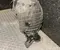 Gebrauchtes Original Nissan 638434CB0A X-TRAIL (T32_) 2017 Radhausschale vorne links - Bild 2