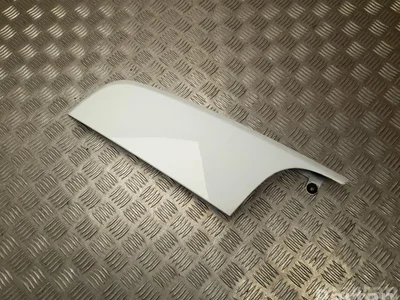 Ford BK21-V52029-BFW / BK21V52029BFW TRANSIT CUSTOM Box 2020 Garniture /moulage Left Rear - Image 1