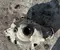 Gebrauchtes Original Mercedes-Benz A2233302503, 3.266 / A2233302503, 3266 GLC X254 2023 Vorderachsgetriebe - Bild 1
