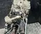 Ford EB3R-7003-PD, EB3R7003PC / EB3R7003PD, EB3R7003PC RANGER (TKE) 2017 Transmission manuelle boite à vitesse 6 rapport - Image 3