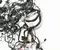 McLaren 13M1094CP, 13M1231CP 570S 2016 Laidai - Nuotrauka 2