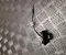 BAIC A00112414 X55 2024 Camera Rear - Image 2