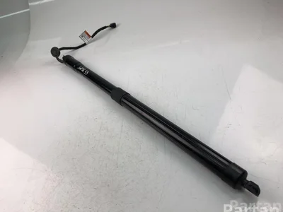 Volvo 31690929 XC60 II (246) 2019 Amortisseur - Image 1