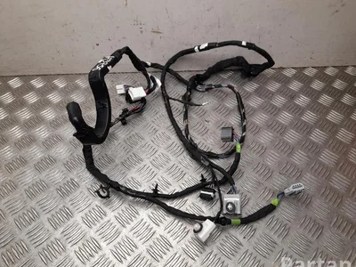 Tesla 1032882-00-G / 103288200G MODEL X 2019 Cables de salón Puerta - Imagen 1