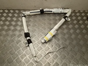 Nissan 646819300B, NX6PA211250274 JUKE (F16) 2020 Airbag de tête