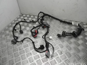 Jaguar EW93-14631-BC / EW9314631BC XJ (X351) 2016 Harnais pour intérieur Porte