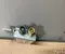 Nissan 282476PA1A Qashqai III (J12) 2024 Amplificador de antena - Imagen 3