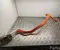 Tesla 1569000-20-A / 156900020A MODEL X 2023 Kabelsatz - Bild 1