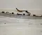 Gebrauchtes Original Infiniti 84810-4GA0A / 848104GA0A Q50 2015 Kofferraumdeckelgriff - Bild 1