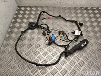 Gebrauchtes Original Volkswagen TAB016130CT ID.4 2023 Kabelsatz