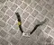 Dacia 240803035R, 1585803035R BIGSTER 2025 Harness - Image 1