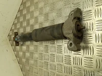 Ford USA FR3C-18W002-LF / FR3C18W002LF MUSTANG Coupe 2016 Amortisseur Right Rear Left Rear