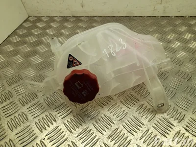 Mercedes-Benz A2975000900 EQE V295 2022 Aušinimo skysčio išsiplėtimo bakelis - Paveiksliukas 1