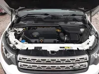 Disco Sport - Vignette 6