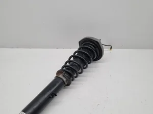 Porsche 99134303516, 99134312102 911 (991) 2018 Stoßdämpfer vorne links