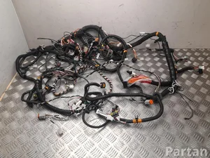 Ligier 1419870C, 1420750A JS 50 2022 Kabelsatz für Innenraum