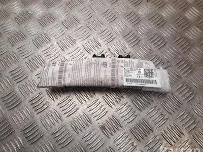 Volkswagen 11A 880 241 P / 11A880241P ID.4 2022 Airbag latéral - Image 1