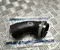 Audi 1K0145838AH, HORTUM 144184 / 1K0145838AH, HORTUM144184 A3 (8P1) 2010 Intake air duct - Image 1