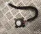 Gebrauchtes Original Volvo 80003849 EX30 (416) 2024 Lautsprecher - Bild 2
