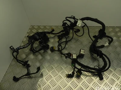 BMW 5A01D59 X3 (G01) 2022 Fils du compartiment moteur - Image 1