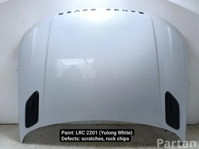 Land Rover RANGE ROVER SPORT (L494) 2016 Motorhaube - Bild 1