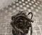 Gebrauchtes Original Mercedes-Benz A 000 430 23 00 / A0004302300 EQV (W447) 2020 Unterdruckpumpe - Bild 1