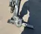 Gebrauchtes Original Opel 39161610 INSIGNIA B Caravan (Z18) 2023 Anhängerkupplung Einbausatz - Bild 2