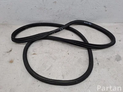 Citroën C4 CACTUS 2019 Türdichtung hinten links - Bild 1